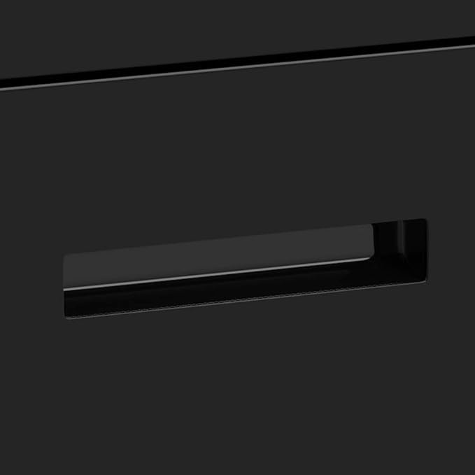 Lateral Filing Cabinet, 2 Drawer Metal Lockable File Cabinet for Commercial Grade Office Legal and Letter File (Black)