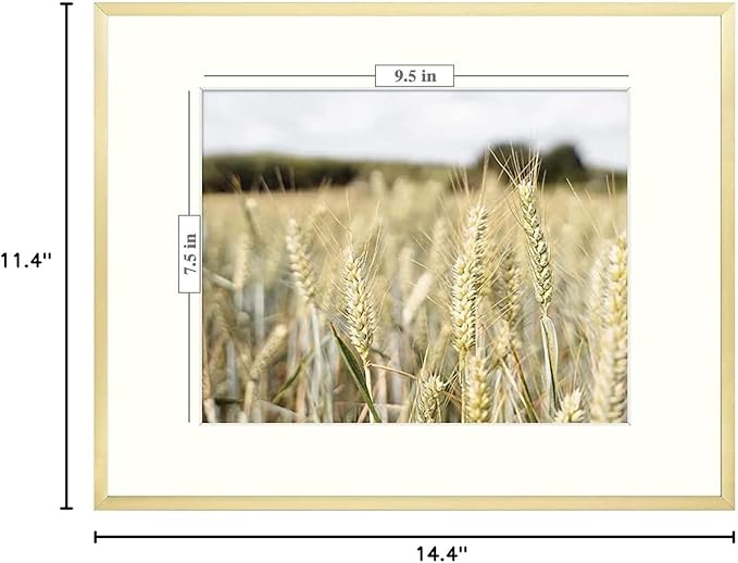 Golden State Art, Gallery Wall Frame Set of 6 - Gold 11x14 Aluminum Photo Frames with Mat for 8x10 Pictures - 11 x 14 inch Metal Frame with Real Glass Cover - Elegant Home or Office Decor