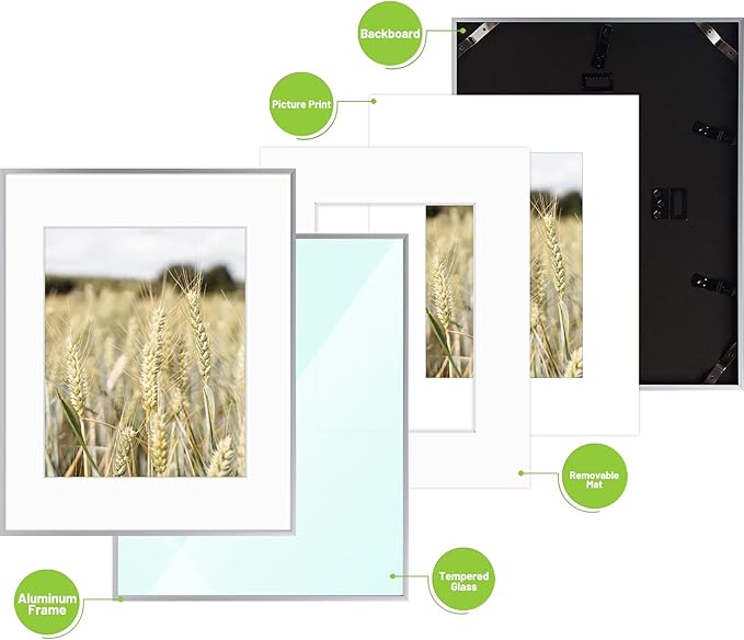 Golden State Art, Gallery Wall Frame Set of 6 - Silver 16x20 Aluminum Photo Frames with Mat for 11x14 Pictures - 16 x 20 inch Metal Frame with Real Glass Cover - Elegant Home or Office Decor