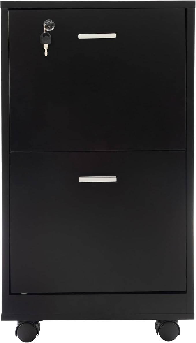 File Cabinet - 2-Drawer Cabinet with Lock and Deep Drawer Storage - Rolling Filing Cabinet for Under The Desk, Home, or Office by Lavish Home (Black)
