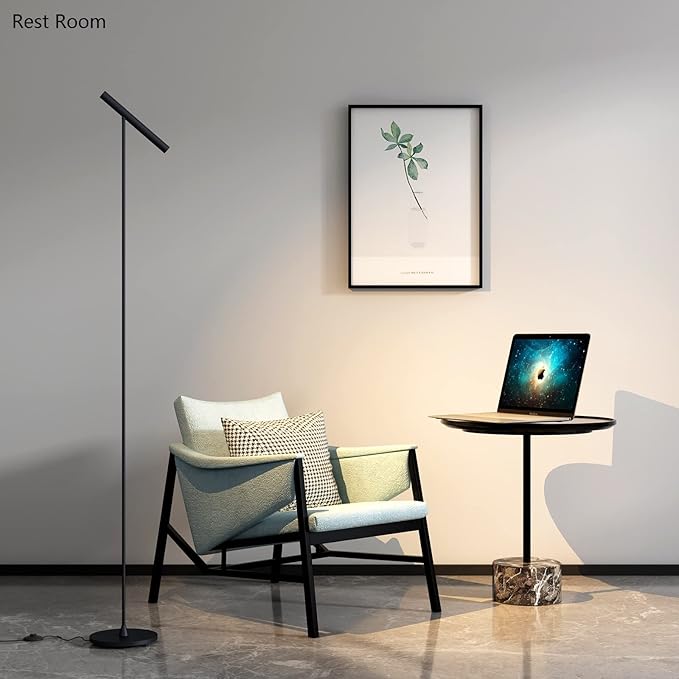 Floor Lamps for Living Room, 66" Modern Floor Lamp LED Standing lamp with Foot Switch 6W Warm Light Tall Lamp for Bedroom, Office, Study Room, Home, Lamp Head Adjustable