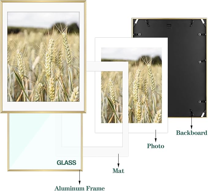 Golden State Art, Gallery Wall Frame Set of 6 - Gold 18x24 Aluminum Photo Frames with Mat for 16x20 Pictures - 18 x 24 inch Metal Frame with Real Glass Cover - Elegant Home or Office Decor