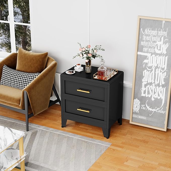 26.42" Tall Dresser for Bedroom 2 Drawers, Metal Dresser Chest of Drawers, Metal NightStand, Circular Drawer Cabinet for Home,Filing Cabinet with Drawers for Office (Black)