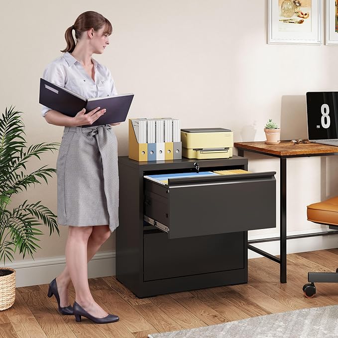 2 Drawer Lateral File Cabinet with Lock