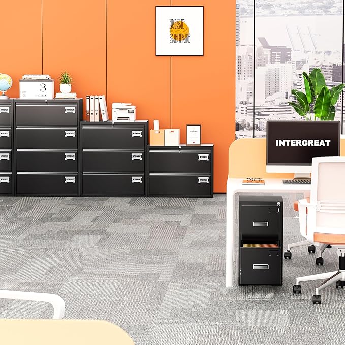INTERGREAT 2 Drawer Lateral File Cabinet, Black Filing Cabinet with Lock, 28" W Steel Filing Storage Drawers with Name Tag, Horizontal File Cabinet for Home Office, Letter/Legal/F4/A4