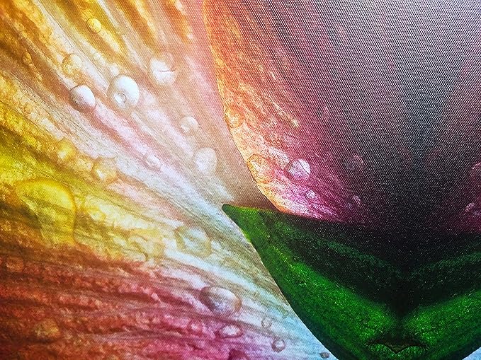 8.5" X 11" Canvas Textured Premium Inkjet Photo Paper - 5 Sheets