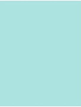LUXPaper 12" x 18" Paper | Seafoam Blue | 80lb. Text | 50 Qty
