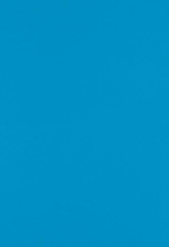 LUXPaper 13" x 19" Paper | Pool Blue | 80lb. Text | 50 Qty