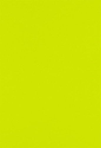 LUXPaper 13" x 19" Paper | Wasabi Green | 80lb. Text | 50 Qty