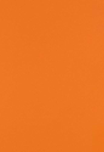 LUXPaper 13" x 19" Paper | Mandarin Orange | 80lb. Text | 50 Qty