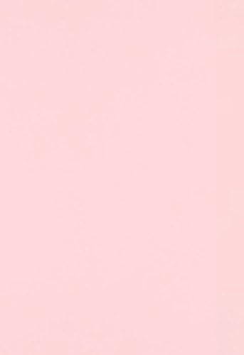 LUXPaper 13" x 19" Paper | Candy Pink | 80lb. Text | 50 Qty