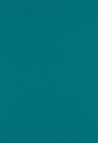 LUXPaper 13" x 19" Paper | Teal | 80lb. Text | 50 Qty