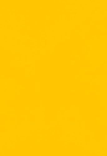 LUXPaper 13" x 19" Paper | Sunflower Yellow | 80lb. Text | 50 Qty