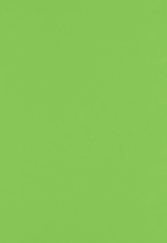 LUXPaper 13" x 19" Paper | Limelight Green | 80lb. Text | 50 Qty