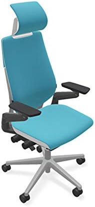 Steelcase Gesture Office Desk Task Chair with Headrest Plus Lumbar Support Cogent Connect Blue Jay Fabric High Platinum Light Frame (Light/Light)