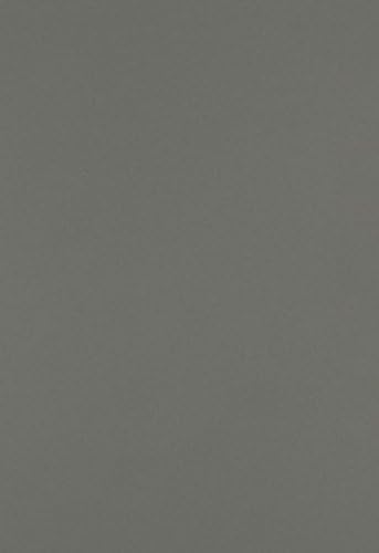 LUXPaper 13" x 19" Paper | Smoke Gray | 80lb. Text | 50 Qty