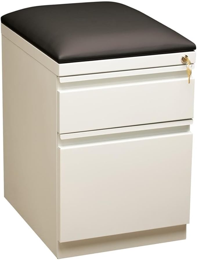BOWERY HILL 20" D 2-Drawer Mobile Filing Cabinet, Steel Construction, White Finish with Black Cushion, Hidden Casters, Full Extension Drawers, Letter-Size File Storage, Office Organization Solution