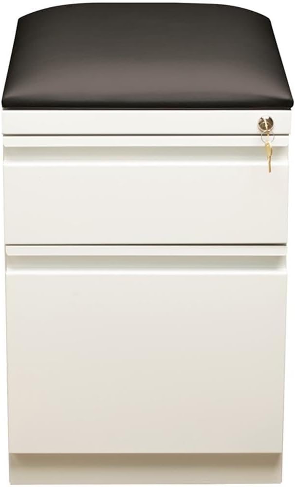 BOWERY HILL 20" D 2-Drawer Mobile Filing Cabinet, Steel Construction, White Finish with Black Cushion, Hidden Casters, Full Extension Drawers, Letter-Size File Storage, Office Organization Solution