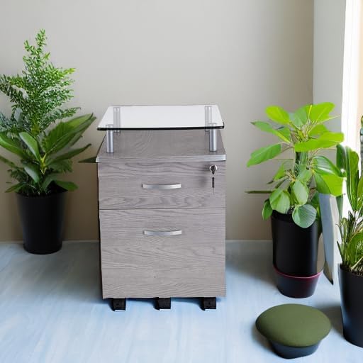 2-Drawer Rolling File Cabinet with Lock and Glass Top, Under Desk File Cabinet with Wheels, Printer Stand, Grey