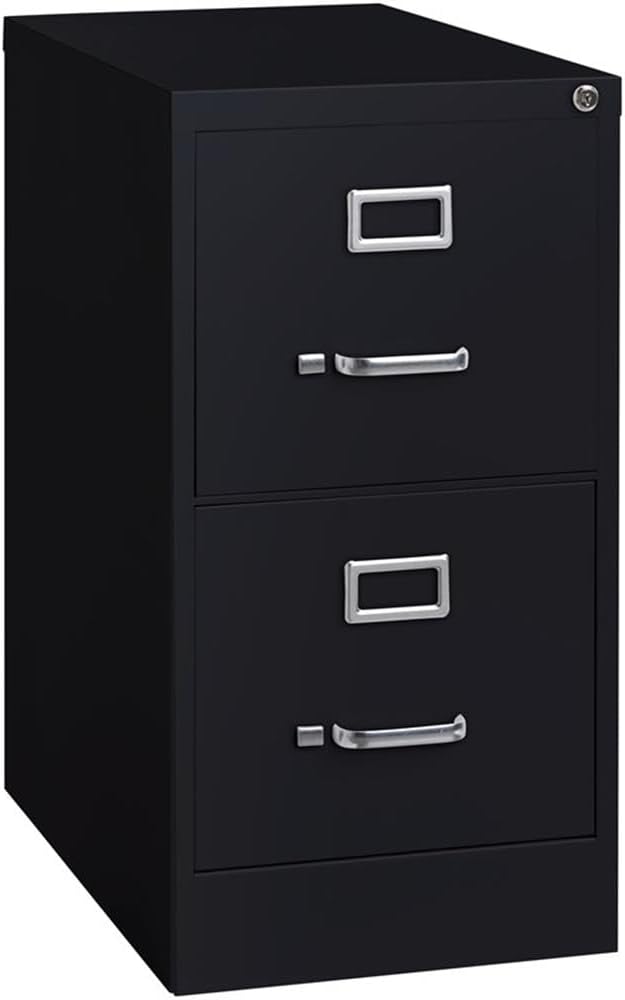 22" 2-Drawer Metal Vertical Filing Cabinet, Black Finish, Letter Size, Commercial Grade Durable Office Storage, Smooth Ball-Bearing Slides, Lockable Design