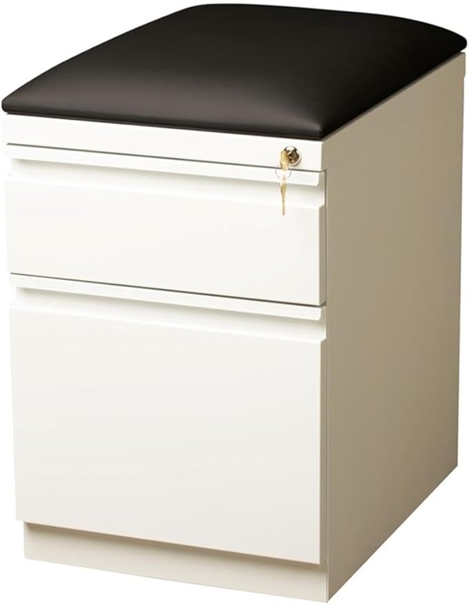 BOWERY HILL 20" D 2-Drawer Mobile Filing Cabinet, Steel Construction, White Finish with Black Cushion, Hidden Casters, Full Extension Drawers, Letter-Size File Storage, Office Organization Solution