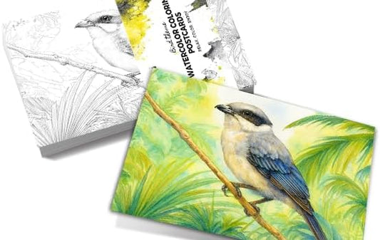 Artwink Watercolor Coloring Cards – Bird Theme, 15 Sheets (5x7 Inches, 300gsm), Works with Watercolor, Colored Pencils, or Markers, Great for Coloring Book Lovers & Watercolor Painting Practice
