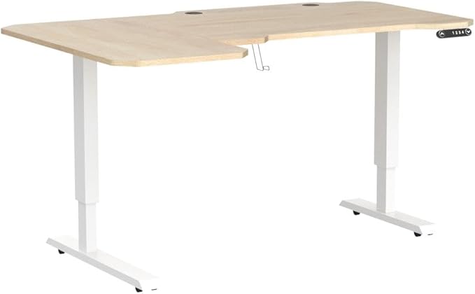 Ergonomic Electric Standing Desk 59 Inch, Height Adjustable Sit Stand Desk with Memory Keypad and Large Work Surface
