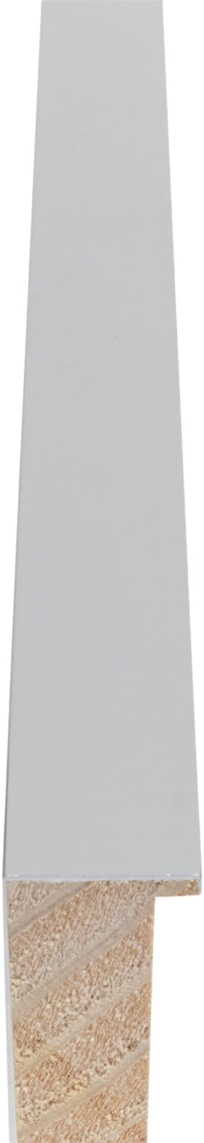 Diploma Tassel and Photo Frame Stainless Silver Shadowbox Dark Red Over Gold Mat - Fits 11.69 x 8.27 Degree Picture Made in the USA