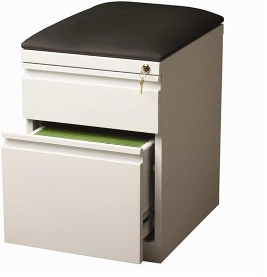 BOWERY HILL 20" D 2-Drawer Mobile Filing Cabinet, Steel Construction, White Finish with Black Cushion, Hidden Casters, Full Extension Drawers, Letter-Size File Storage, Office Organization Solution