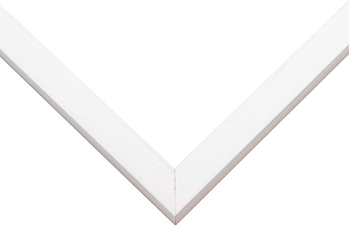 Diploma Frame With Photo Opening Coastal Whitewash Oyster Shell Over Gold Mat - Fits 13 x 10 Degree and Picture Made in the USA