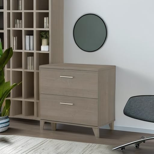 Bush Home 2 Drawer Lateral File Cabinet, Letter and Legal-Size Document Storage for Home or Professional Office, Somerset Collection, Ash Gray