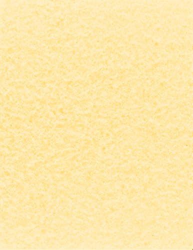 NextDayLabels - Pack of 50 Sheets - 8-1/2" x 11" - Letter Size - 65 lb. Parchment Cover Card Stock, Made in The USA (Champagne)