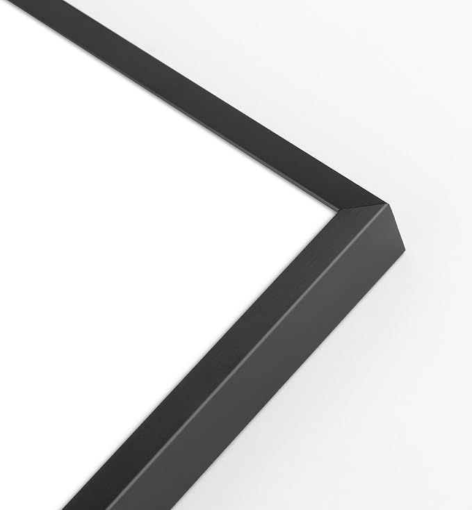 Golden State Art, Gallery Wall Frame Set of 6 - Black 14x18 Aluminum Photo Frames with Mat for 11x14 Pictures - 14 x 18 inch Metal Frame with Real Glass Cover - Elegant Home or Office Decor