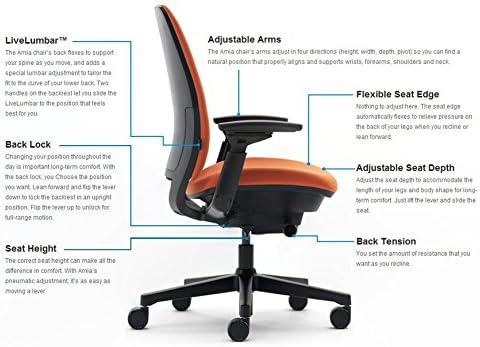 Steelcase Amia Task Chair: Black Frame/Polished Aluminum Base - 4 Way Adjustable Arms - Hard Floor Casters