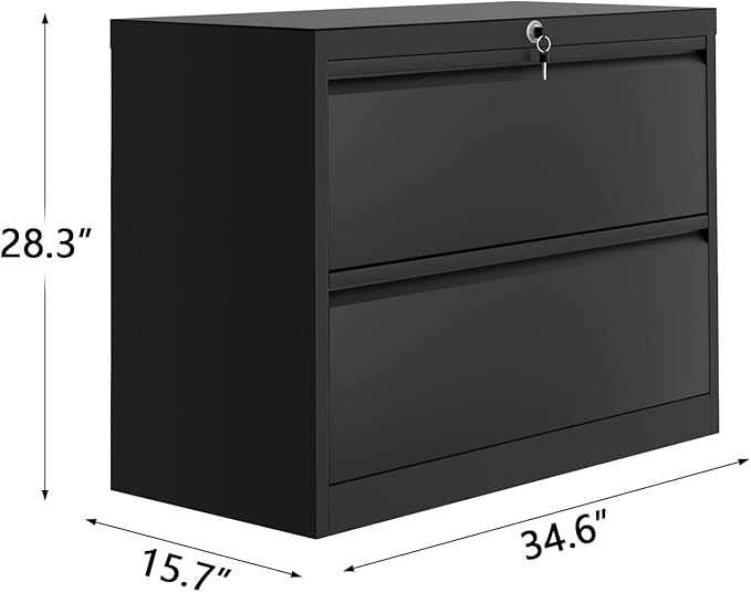 GAOMON 2-Drawer File Cabinet with Lock, Metal Lateral Filing Cabinets for Letter/Legal Size Documents, Heavy Duty File Storage for Home Office, Black (2 Drawers)