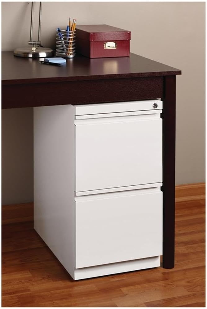 BOWERY HILL 2 Drawers 27.75" Vertical White Metal Filing Cabinet Lockable Pre-Assembled Movable Letter Size for Home, Office