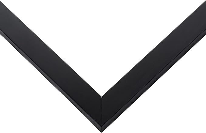 Diploma Frame With Photo Opening Matte Black Black Over Gold Mat - Fits 14 x 11 Degree and Picture Made in the USA