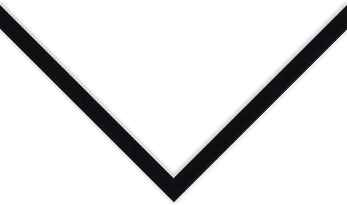 Diploma Tassel and Photo Frame Matte Black Shadowbox Dark Red Over Gold Mat - Fits 17 x 13 Degree Picture Made in the USA