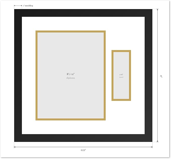 Diploma Frame with Tassel Holder Coastal Whitewash Shadowbox Navy Blue Over Gold Mat - Fits 8.5 x 11 Degree Made in the USA