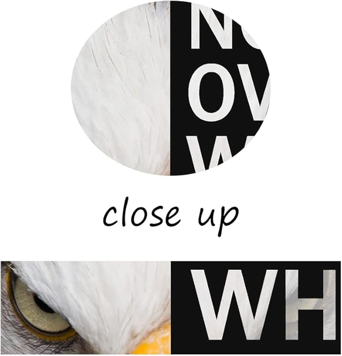 Eagle Inspirational Canvas Wall Art Animal Motivational Print Poster Animal Picture Painting Modern Affirmative Inspiring Artwork for Home Living Room Office Decor Ready to Hang [24''W x 36''H]