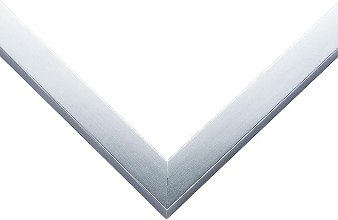 Diploma Frame With Photo Opening Stainless Silver Dark Red Over Gold Mat - Fits 13 x 10 Degree and Picture Made in the USA