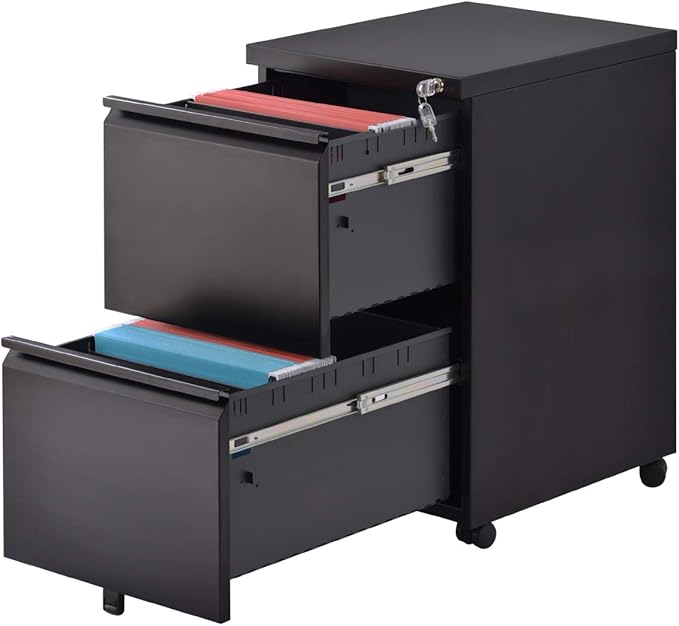 File Cabinet 2-Drawer Office Metal Pedestal Mobile File Organizer with Lock for Filing Supplies Storage, Use for Home Office and Enterprise, Fully Assembled (Black)
