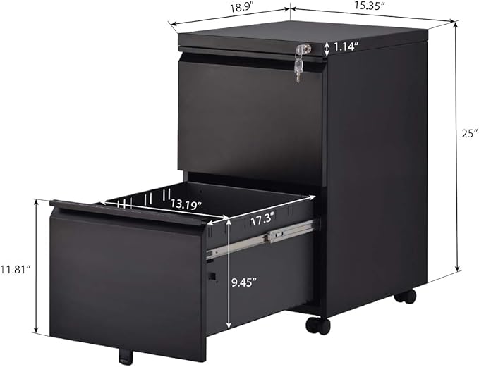 File Cabinet 2-Drawer Office Metal Pedestal Mobile File Organizer with Lock for Filing Supplies Storage, Use for Home Office and Enterprise, Fully Assembled (Black)