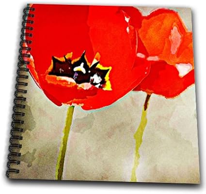 3dRose db_56283_1 Painted Red Poppies-Flowers-Floral Print-Drawing Book, 8 by 8-Inch