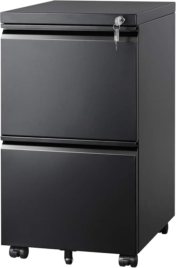 2 Drawer Mobile File Cabinet with Lock,Rolling File Cabinet, Under Desk Mobile Filing Cabinet,File Cabinets for Home Office,Storage 2 Drawer Mobil Filing Cabinet for A4/Legal/Letter,Balck