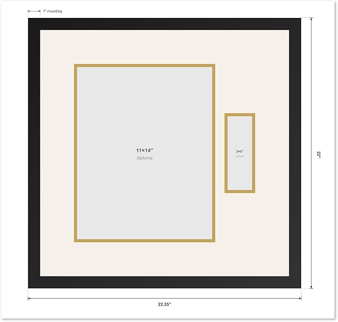 Diploma and Tassel Frame Fits 11 x 14 College Diploma (Portrait) with Ta Executive Brown Genuine Hardwood Shadowbox with Navy Blue Over Metallic Gold Double mat