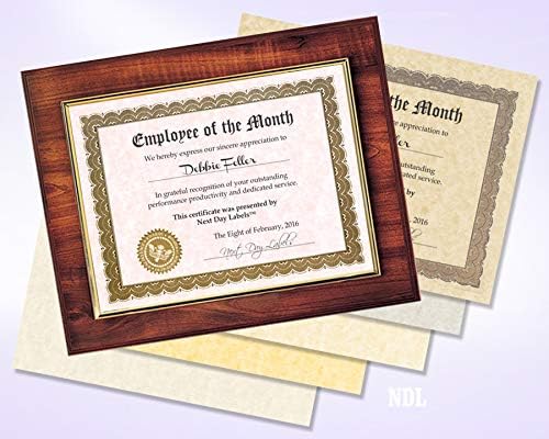 NextDayLabels - Pack of 50 Sheets - 8-1/2" x 11" - Letter Size - 65 lb. Parchment Cover Card Stock, Made in The USA (Champagne)