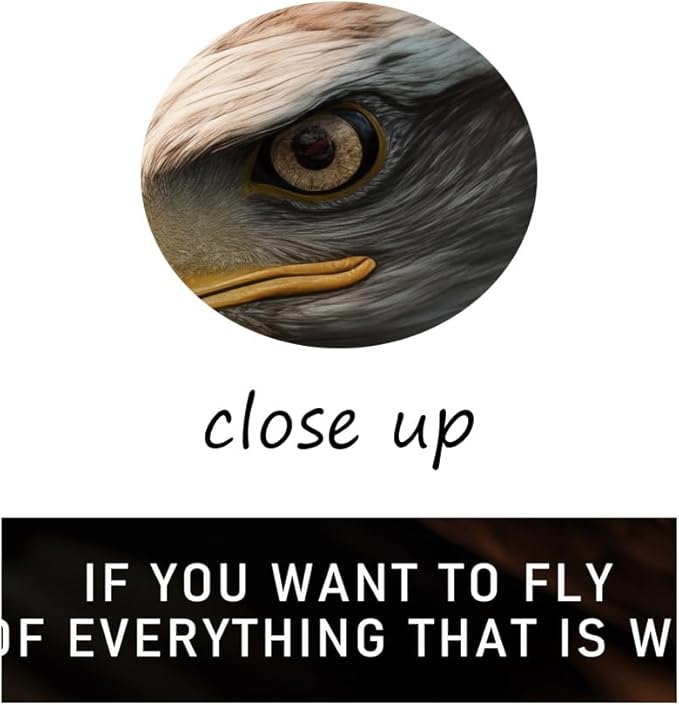 WYJDFART Eagle Motivational Posters Picture If You Want To Fly Inspirational Canvas Wall Art Prints Modern Home Decor Painting Artwork for Office Stretched and Framed Ready to Hang [18''W x 24''H]