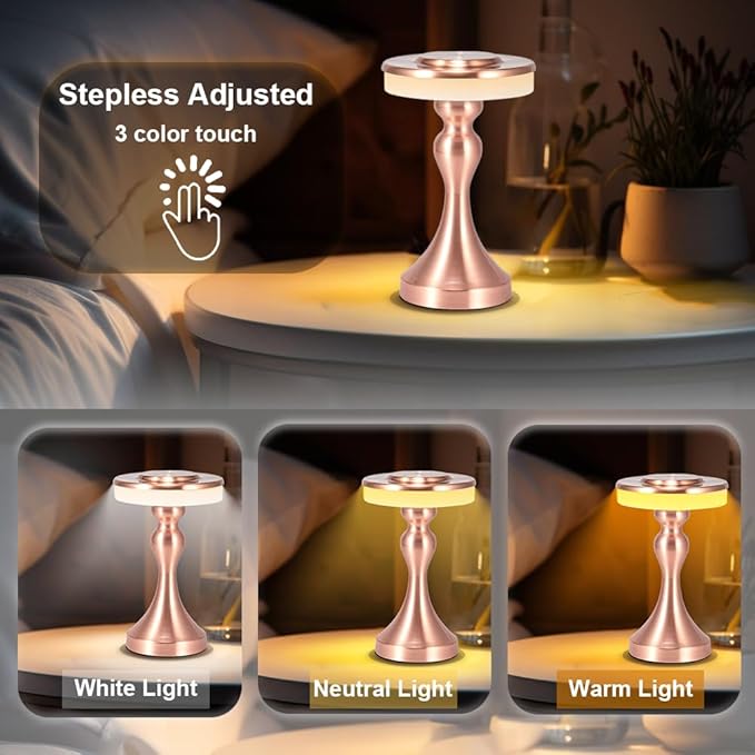 Portable Metal LED Table Lamp,Cordless Battery Table Lamp,3 Color Touch Control Rechargeable Desk Lamp,3-Levels Brightness Bedside Battery Lamp,Night Light