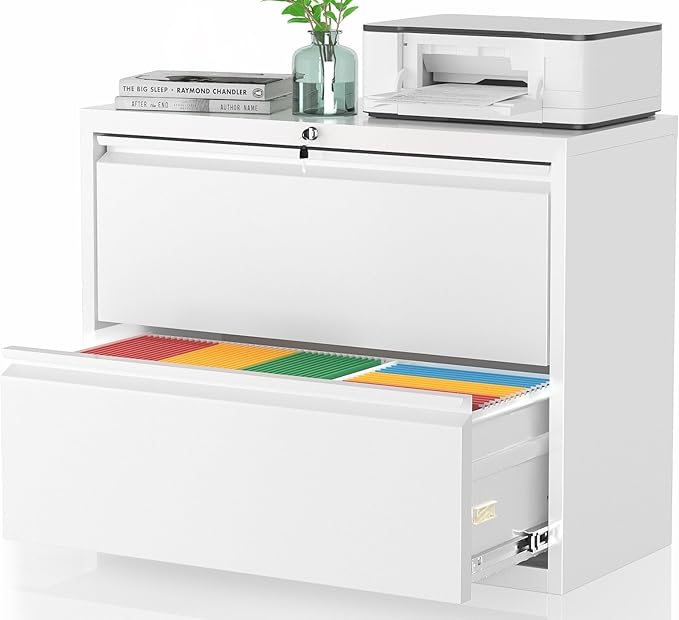 Pataku Lateral File Cabinet, 2 Drawer File Cabinet with Lock, White Filing Cabinets for Home Office, Metal File Cabinet for Hanging Files/Letters/Legal/A4(2Drawer/White)